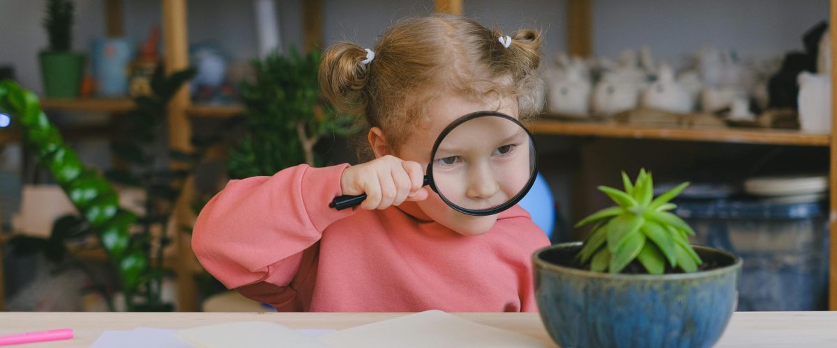 pexels shvetsa 11286024